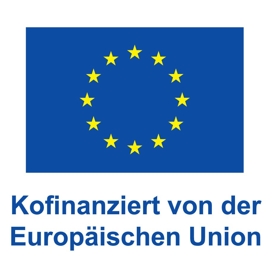 DE V Kofinanziert von der Europäischen Union_POS.jpg